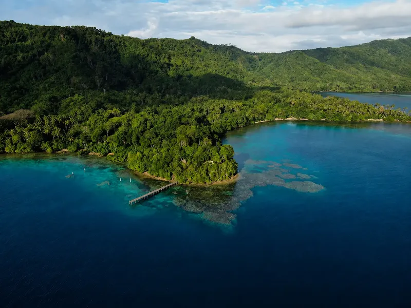 Vue aérienne d'une côte tropicale avec un ponton en bois