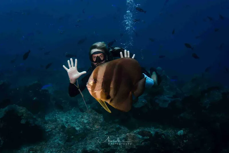 Plongeur interagissant avec une raie manta dans un environnement sous-marin