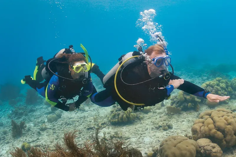 Deux plongeurs explorent un fond marin avec coraux et sable