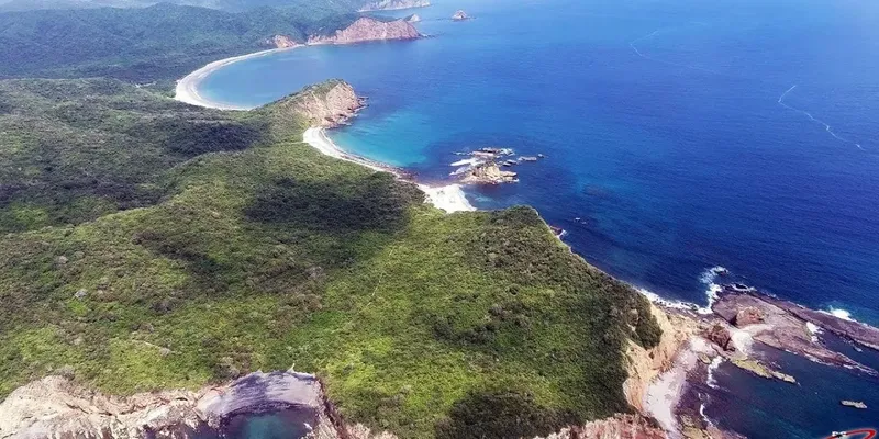 Vue aérienne d'une côte rocheuse avec une plage et la mer
