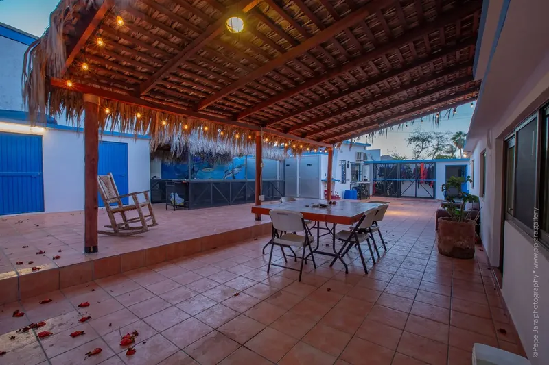 Terrasse ombragée avec mobilier de jardin et végétation tropicale relaxante