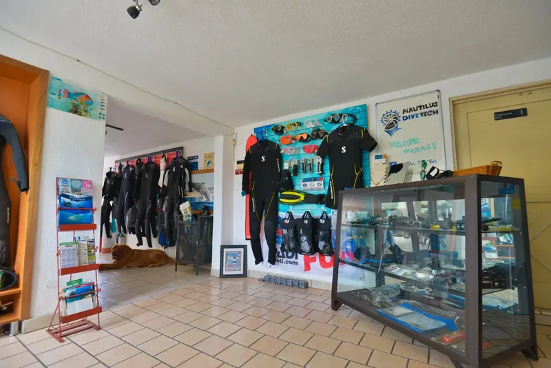 Intérieur d'un centre de plongée avec équipement et comptoir d'accueil
