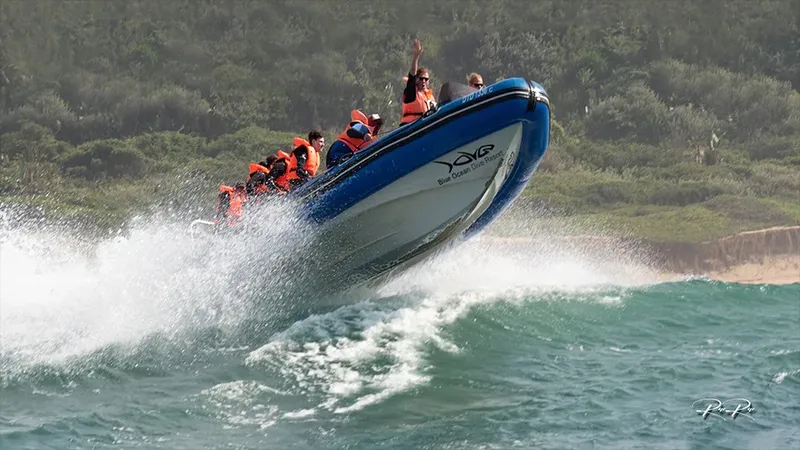 Passagers en gilets de sauvetage sur un bateau rapide en mer
