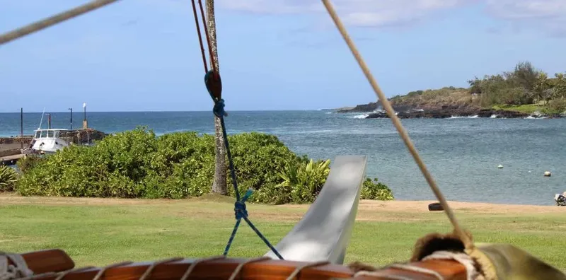 Vue sur la mer, un bateau au port et végétation luxuriante