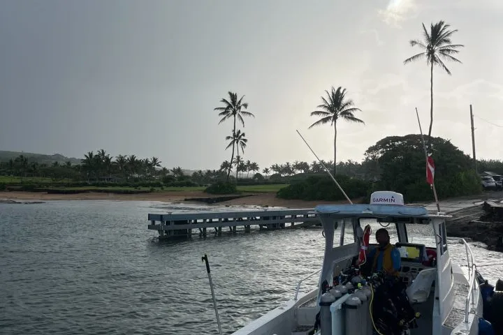 Bateau de plongée amarré à un ponton avec une personne à bord