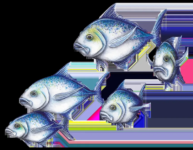 Plusieurs poissons bleus et argentés nagent sur fond noir et coloré