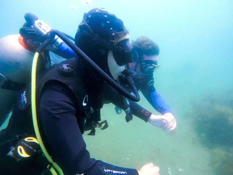 Deux plongeurs en combinaison explorent les fonds marins, visages visibles