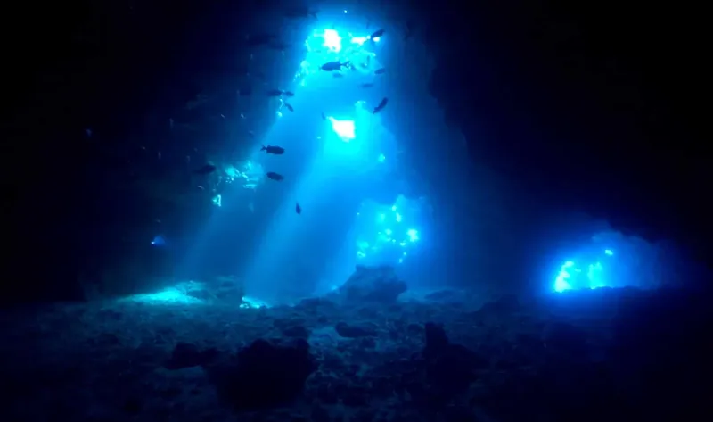 Rayons de lumière traversent une grotte sous-marine peuplée de poissons
