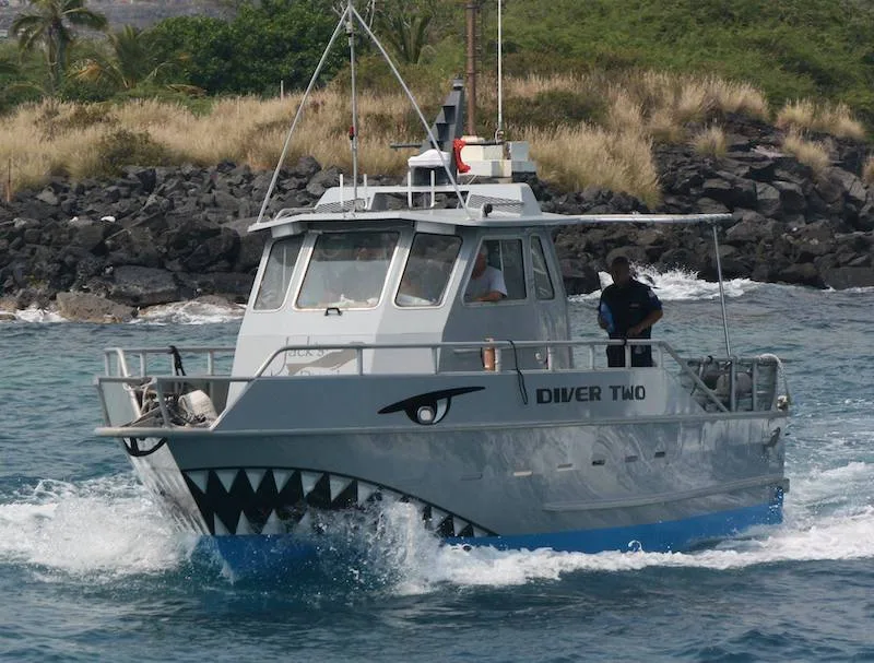 Bateau de plongée gris avec décorations de requin et personnes à bord