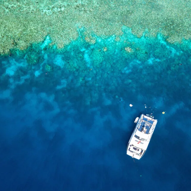Vue aérienne d'un bateau de plongée au-dessus d'un récif corallien