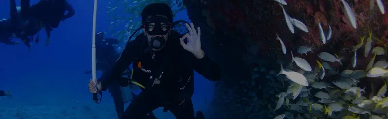 Plongeur souriant avec des poissons argentés dans un récif corallien