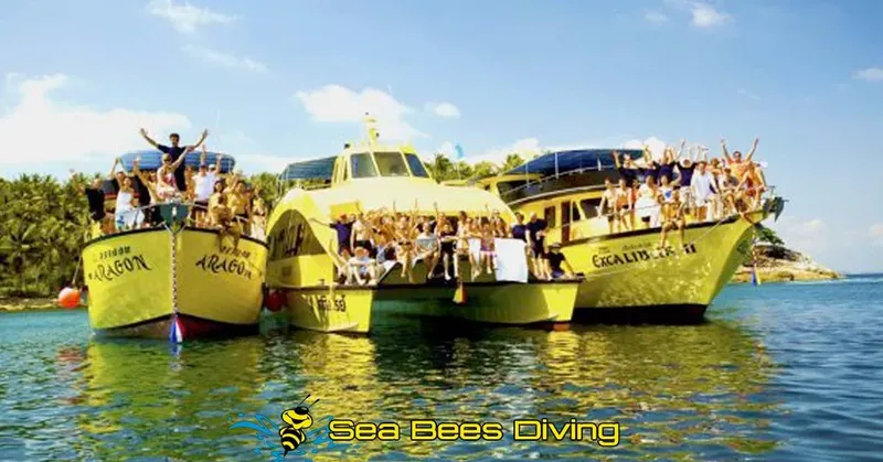 Trois bateaux jaunes remplis de plongeurs souriants sur une mer calme