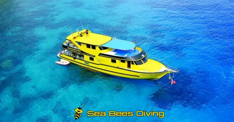 Bateau de plongée jaune vif sur une eau turquoise claire et limpide