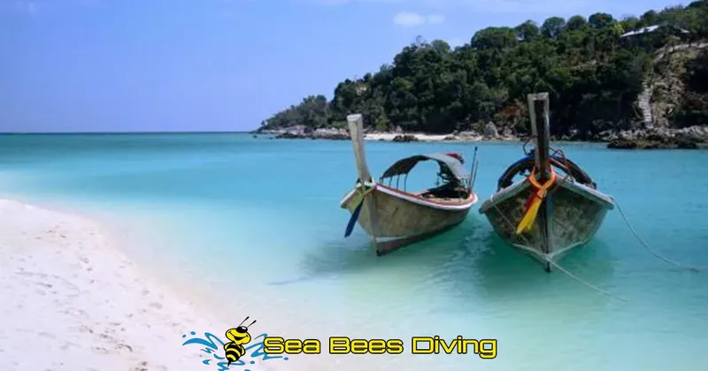 Deux bateaux traditionnels échoués sur une plage de sable blanc