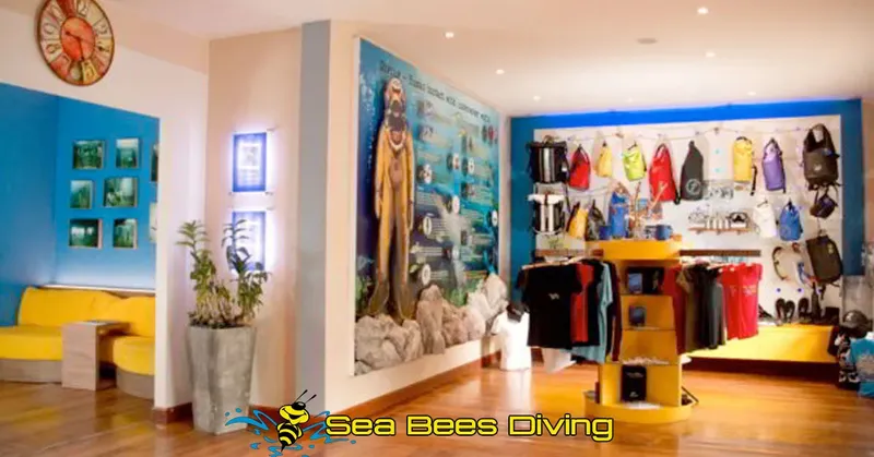 Intérieur lumineux d'un centre de plongée avec équipement et décoration marine