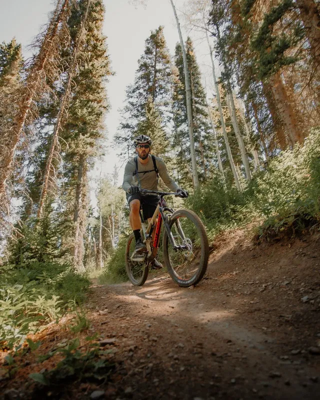 Un homme fait du VTT sur un sentier forestier ensoleillé