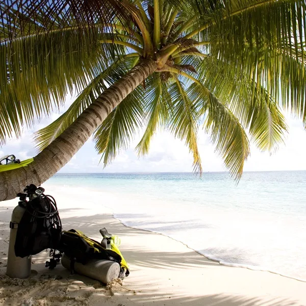 Equipement de plongée sur une plage de sable blanc sous un palmier