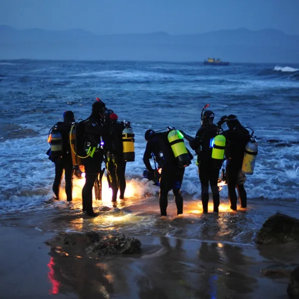 Plongeurs en combinaison sur la plage, préparant une sortie nocturne