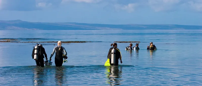 Plongeurs en combinaison sortent de l'eau sur une plage