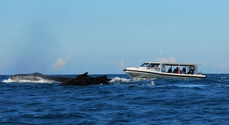 Bateau de plongée près de baleines à bosse dans l'océan bleu