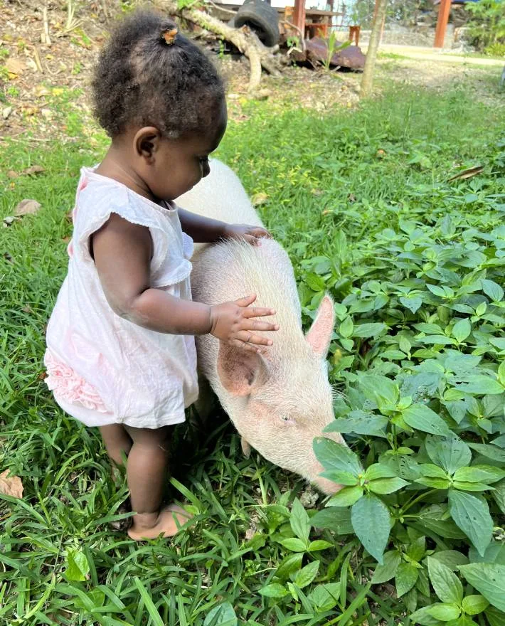 Enfant caressant un cochon dans l'herbe verte, scène ensoleillée