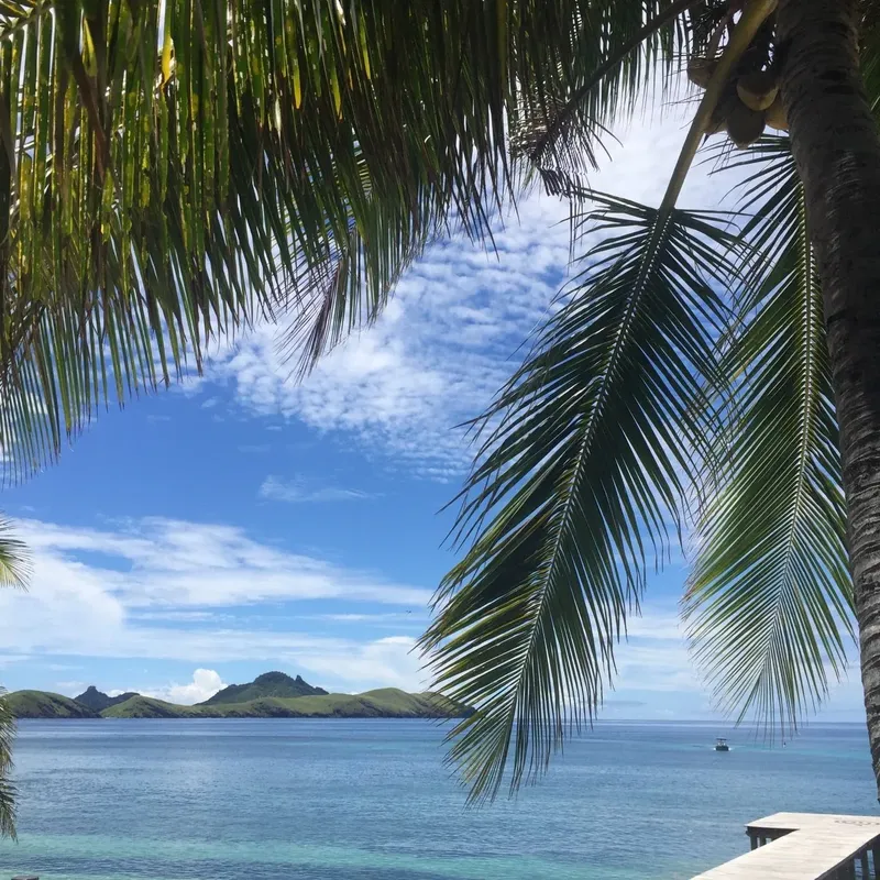 Vue sur la mer turquoise, îles au loin, palmiers au premier plan
