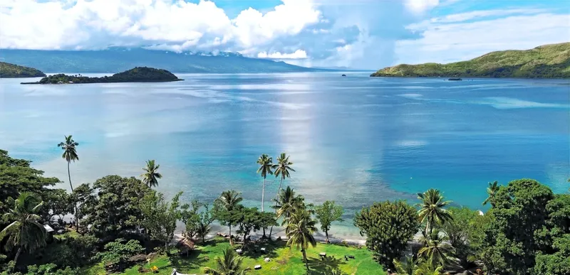 Vue panoramique d'une baie tropicale avec des palmiers et des îles