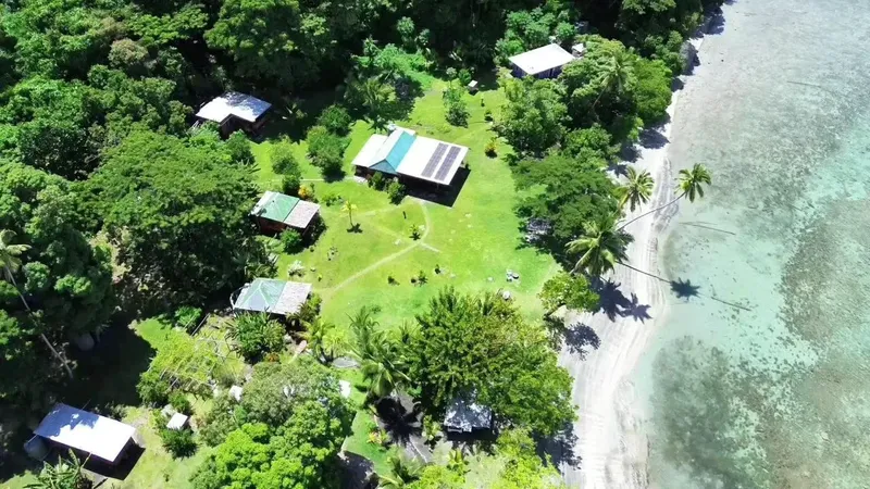 Vue aérienne d'un centre de plongée tropical avec bâtiments et végétation