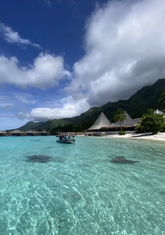 Bateau de plongée dans une eau turquoise avec des raies et montagnes
