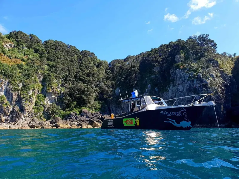 Bateau de plongée noir et jaune amarré dans une baie verdoyante