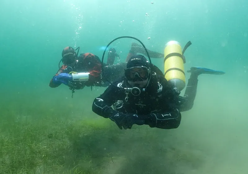 Deux plongeurs en combinaison explorent un milieu aquatique verdâtre
