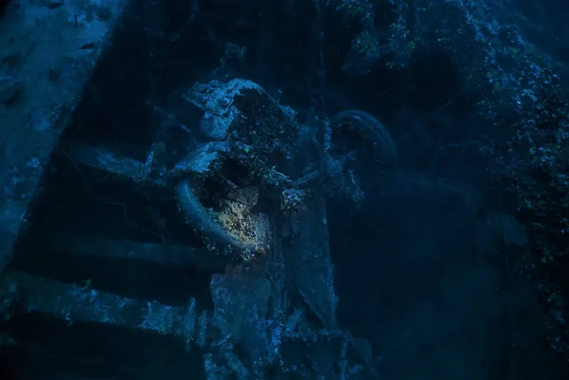Epave sombre et recouverte d'algues sous l'eau, lumière bleutée