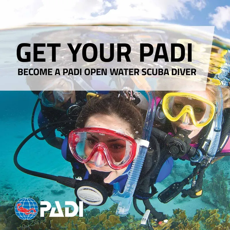 Deux plongeurs avec équipement complet sous l'eau, formation PADI