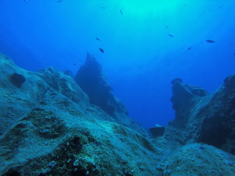 Fond marin rocheux bleu avec quelques poissons, lumière naturelle