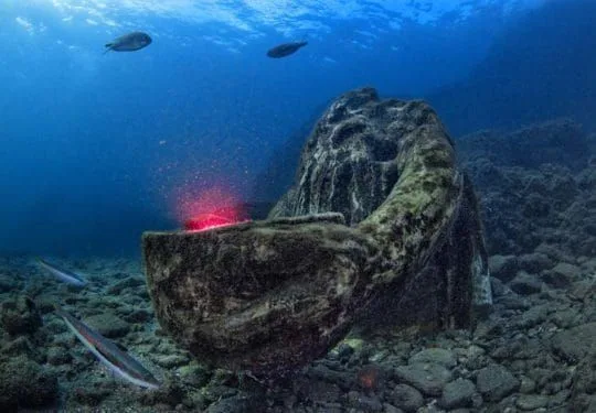 Épave sous-marine colonisée par la vie marine et éclairée