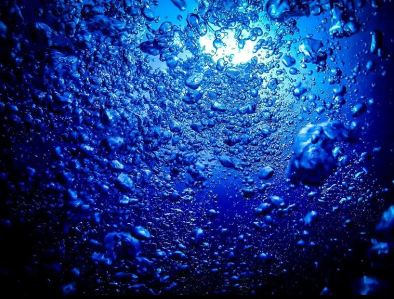 Bulles remontant vers la surface dans l'eau bleue claire