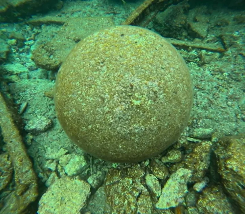 Grosse boule marine recouverte d'algues posée sur un fond rocheux