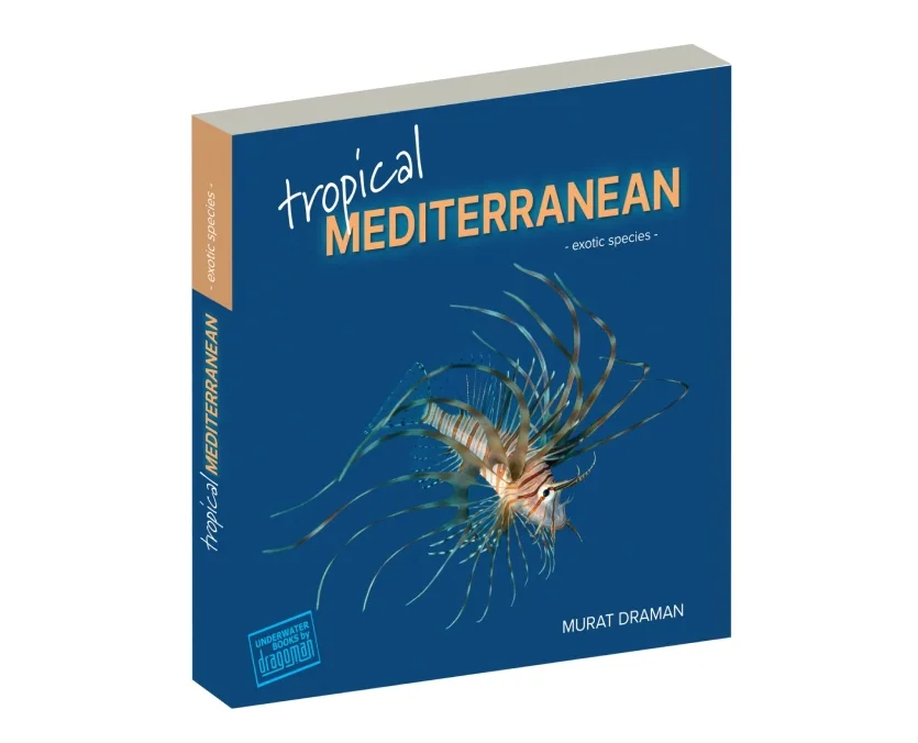 Livre sur la faune méditerranéenne tropicale avec une illustration de rascasse