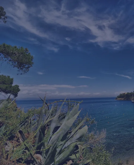Ciel bleu, mer calme, végétation côtière et quelques bateaux au loin