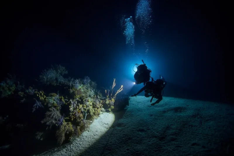 Plongeur éclairé par une lampe torche dans l'obscurité sous-marine