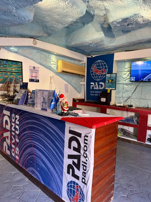 Comptoir d'accueil d'un centre de plongée avec logo PADI et décoration marine