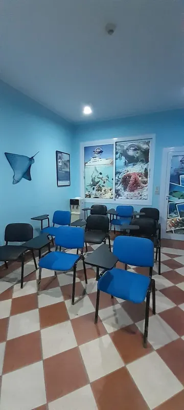 Salle de cours avec chaises bleues et décorations marines aux murs