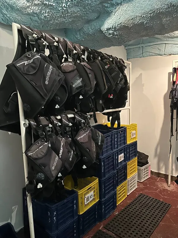 Rangées de gilets stabilisateurs noirs suspendus dans un local de plongée