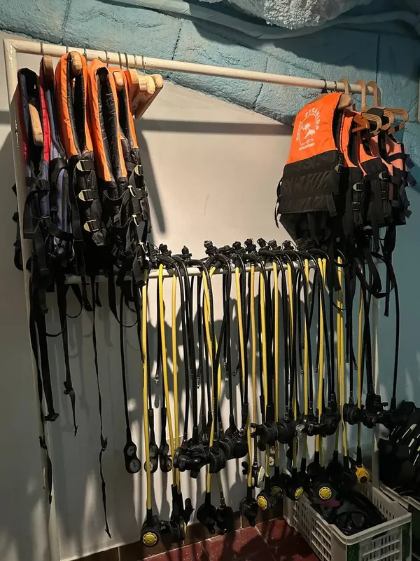 Rangée de gilets de sauvetage et de détendeurs jaunes prêts à l'emploi