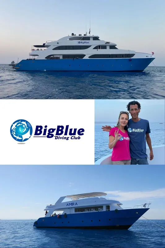 Bateau de plongée bleu, couple souriant, logo du club de plongée