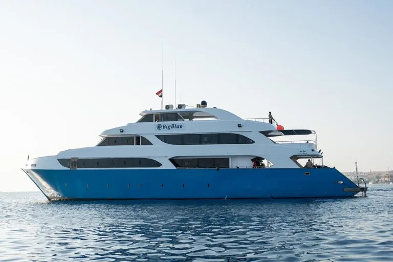 Grand bateau de plongée blanc et bleu sur une mer calme