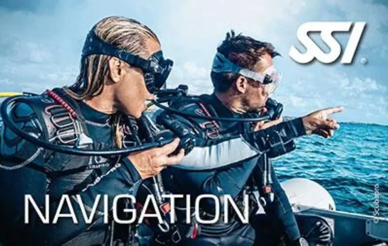 Deux plongeurs en combinaison pointent vers l'horizon en mer