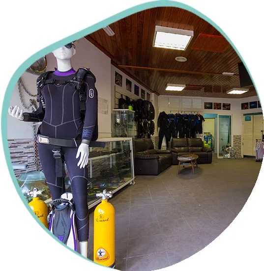Equipement de plongée complet exposé dans un intérieur de centre