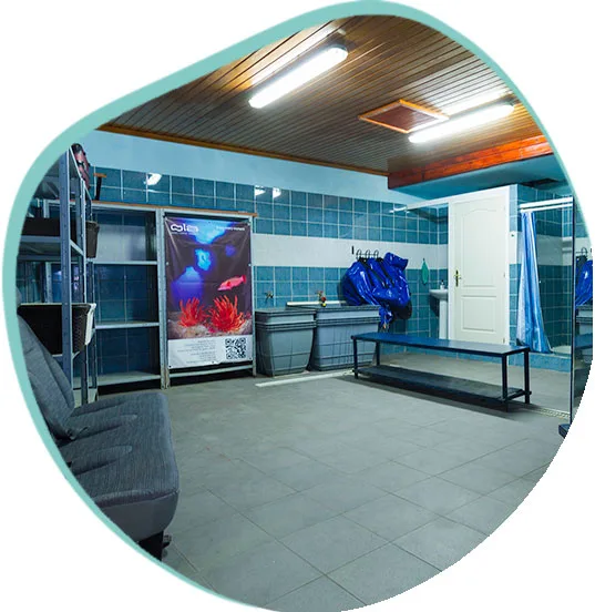 Salle de rinçage et de préparation du matériel de plongée propre