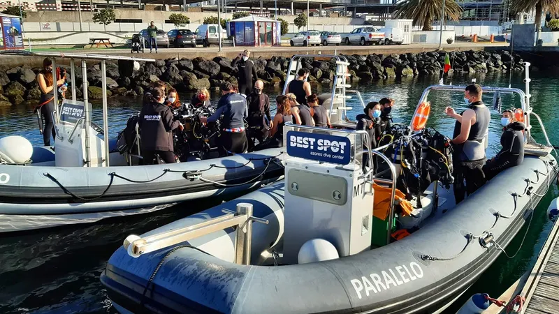 Groupe de plongeurs équipés près de bateaux amarrés au port